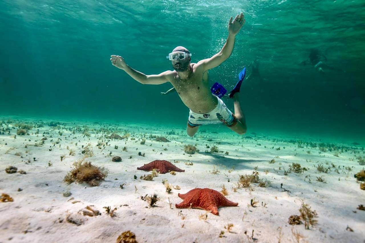 Albatros By Bedsfriends (Adults Only) Hotel Cozumel Eksteriør billede